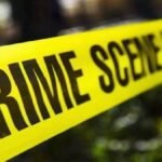 Murder in domestic dispute