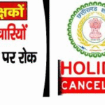 Election roll update