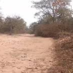 Naxal IED Recovery News