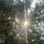 Raipur Weather Update