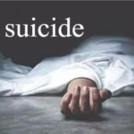 Suicide News