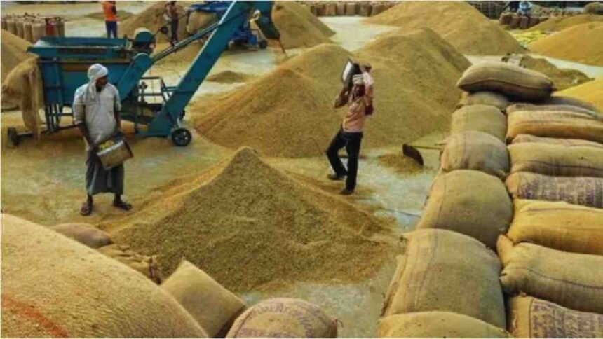 CG Paddy Procurement Report