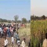 Bhupesh Baghel Press Conference