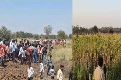 Bhupesh Baghel Press Conference