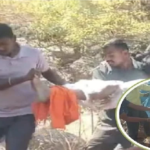 Chhattisgarh Accident News