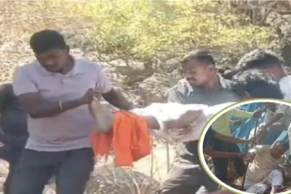 Chhattisgarh Accident News