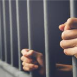 Chhattisgarh Narcotics Control Bureau