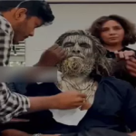 Dhurandhar The Revenge Box Office