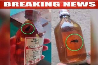 Chhattisgarh Excise Department News