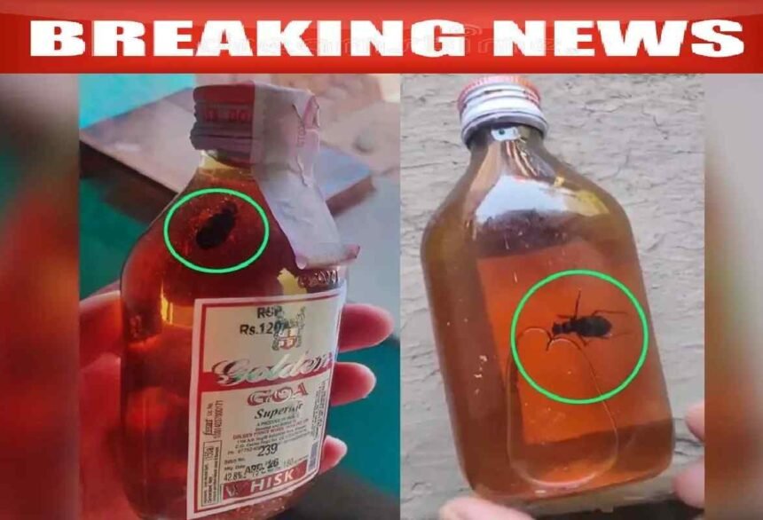 Chhattisgarh Excise Department News