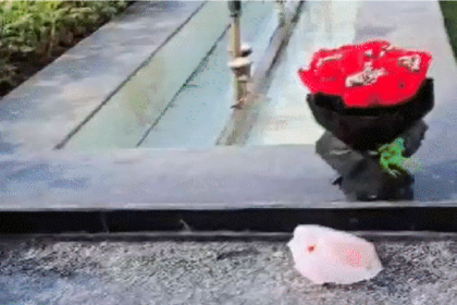 Assembly Gate No 2 Incident