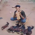 Chhattisgarh Wildlife Crime News