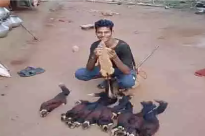 Chhattisgarh Wildlife Crime News