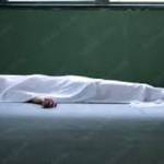 Chhattisgarh Domestic Violence Case