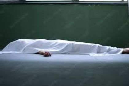 Chhattisgarh Domestic Violence Case