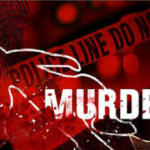 Murder Case