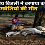 Chhattisgarh News