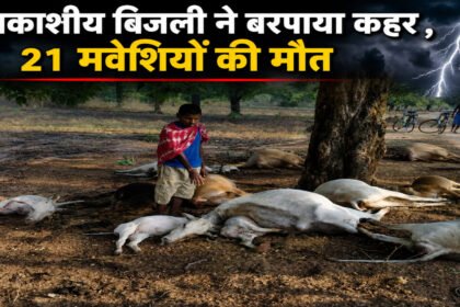 Chhattisgarh News