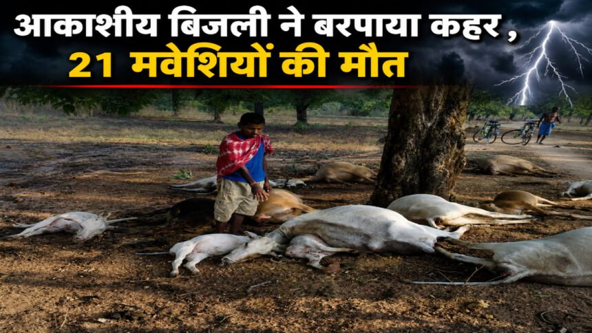 Chhattisgarh News