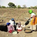 Chhattisgarh Labor Employment Update