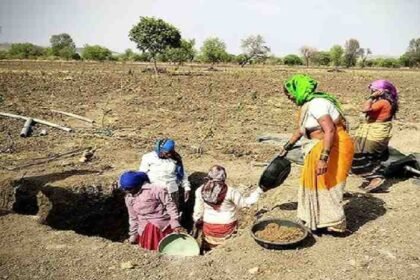 Chhattisgarh Labor Employment Update