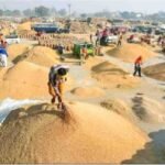 Chhattisgarh Dhan Kharidi Scam 2026