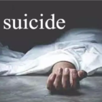 Suicide News