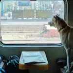 Indian Railway Rule