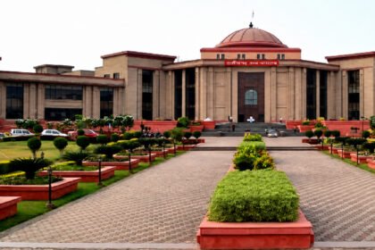 High Court takes a strict stance regarding 33 kV line in elephant-affected forest area.