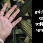 Meaning of a mole on the palm