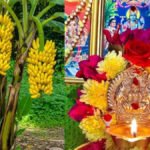 Banana Tree Puja Vidhi